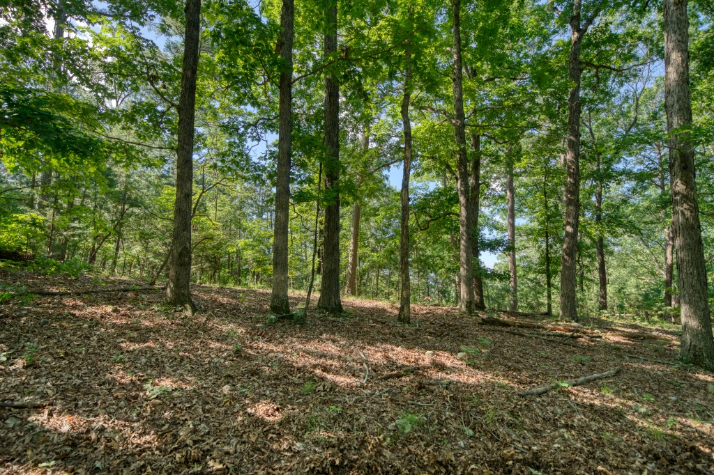 This very nice Beaver Lake area lot is located close to paved Highway 187 for quick, level access! This land feels secluded but is easy to get to at the same time. Beaver Dam and the White River are 3 miles from this property and Eureka Springs is only about 10 minutes away! This lot would be a good home site and selective tree clearing should yield a nice valley view!