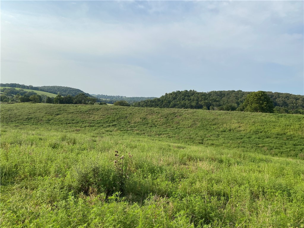 RARE OPPORTUNITY! 20 acres, more or less, of prime land located just East of Hindsville. Perfect for building your dream farmhouse in the country! Beautiful views, peaceful and secluded, yet in close proximity to all of the modern amenities of convenience and fun! Electric and rural water are already on the property. (Buyer will need meters). NO Subdividing, NO Mobile Home or Manufactured Dwellings, NO Commercial poultry or swine operations. Agent Owned!