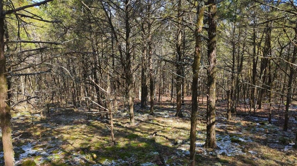 Dardanelle City Subdivision - Land