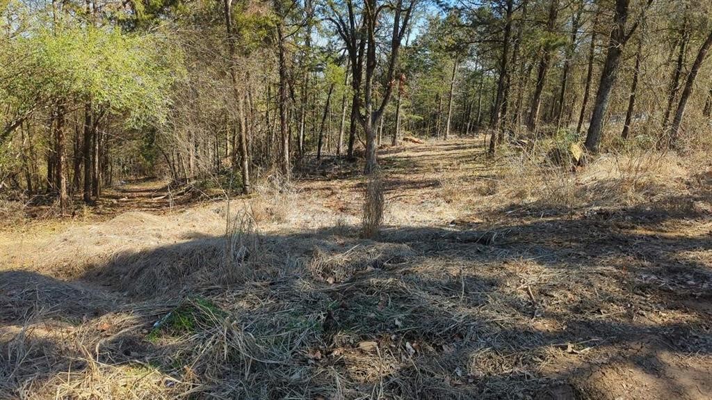 Dardanelle City Subdivision - Land