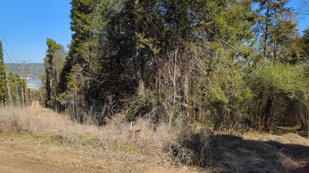 Dardanelle City Subdivision - Land