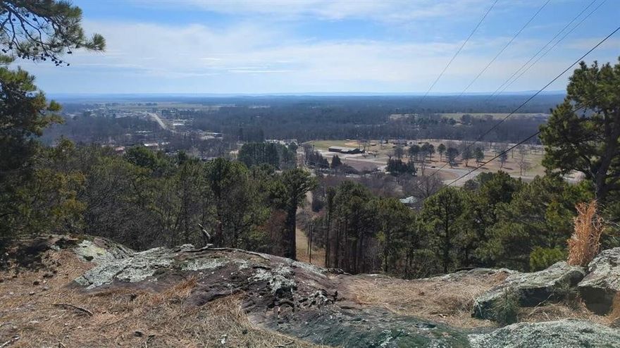 This stunning 10.77-acre parcel offers breathtaking views of the Arkansas River in Dardanelle. With electricity readily available and zoned R-1, this property comes with no HOA restrictions, giving you the freedom to create your perfect retreat. Just minutes away from the Lion Dens Golf Course and several boat ramps, it's an ideal location for those who love the outdoors. Build your dream home here and embrace peaceful country living, all while being conveniently close to everything you need.