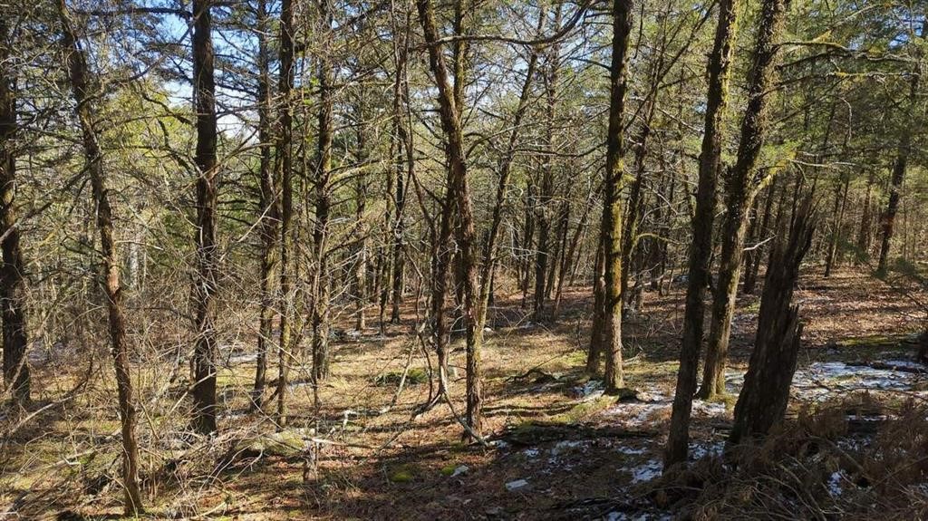 Dardanelle City Subdivision - Land