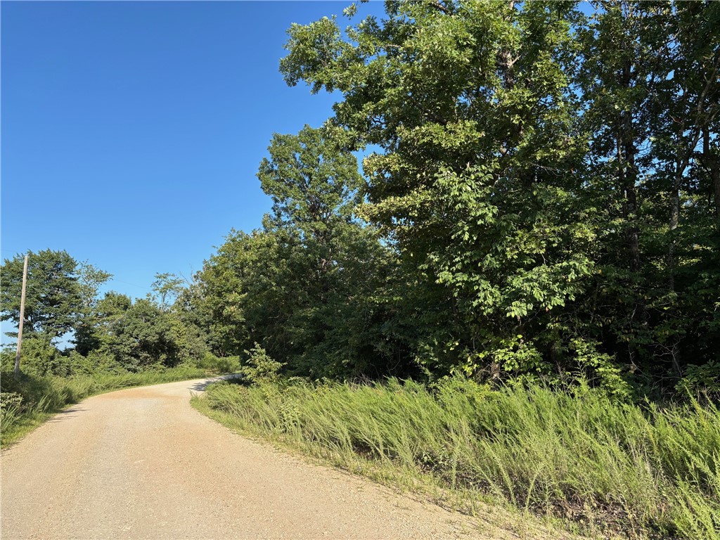 Nice wooded parcel fronting county road. Multiple home sites possible. Easy county road access. Within an hour or less of Bull Shoals and Norfork Lakes, the Buffalo and White Rivers, and numerous hiking, camping, fishing, hunting, swimming, canoeing, and sight-seeing venues. A great place for your Ozark Home or Get-A-Way. Buyer to confirm availability of utilities. Taxes are an estimate.