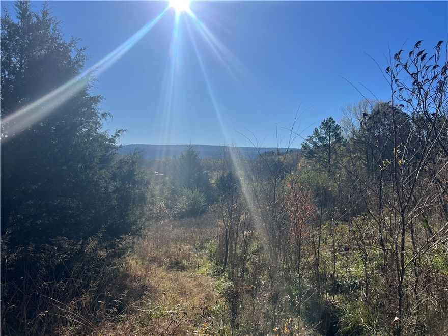 This versatile 5-acre rural tract offers endless possibilities and is an ideal opportunity for deer hunters, outdoor enthusiasts, or anyone looking for a peaceful place to build their dream home. With utilities already on site it makes it convenient for future plans. Enjoy the privacy and quiet of country living while having plenty of space for hunting, recreation, or creating your own private retreat. Whether you envision a hunting getaway, a forever home, or a weekend escape surrounded by nature, this property provides the flexibility to make it your own.