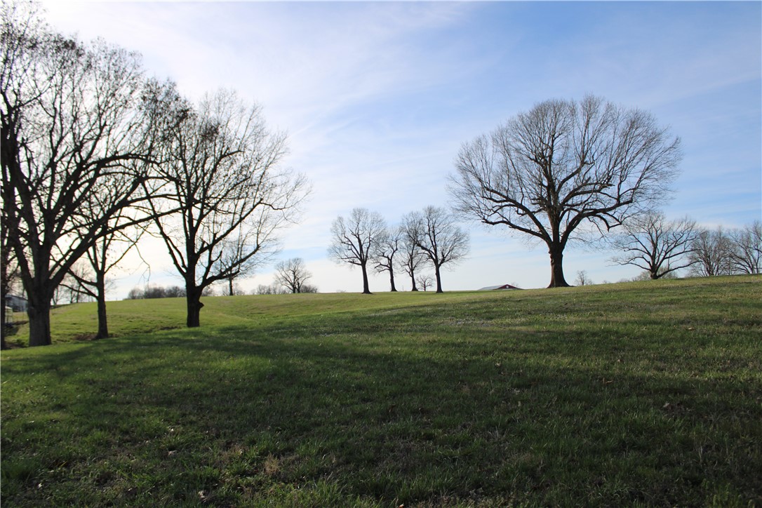 Tontitown Outlots - Land