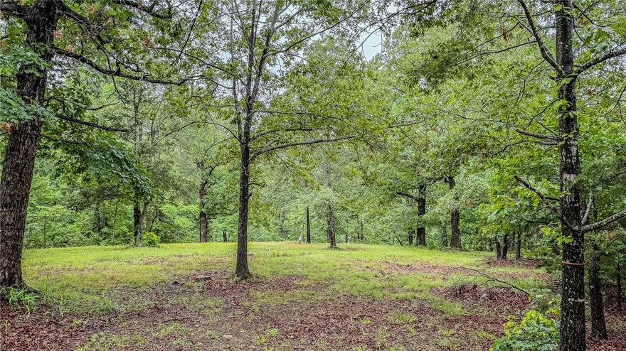 Have you been looking for a wooded retreat? This 9.95 acres parcel might be just what you are looking for! Seclusion and privacy are just what this property offers! This would be a great place to bring your camper for the weekend and hunt as well!