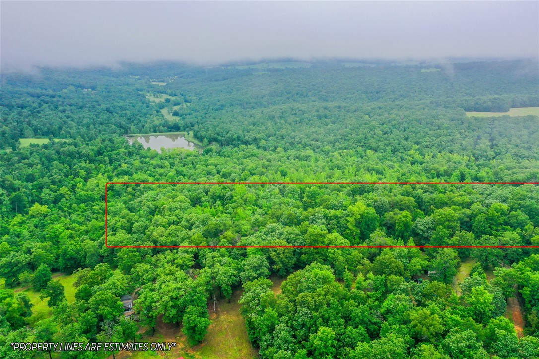 Have you been looking for a wooded retreat? This 9.95 acres parcel might be just what you are looking for! Seclusion and privacy are just what this property offers! This would be a great place to bring your camper for the weekend and hunt as well!