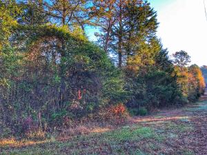 Almost 38 acres of wooded country property that offers privacy and lovely mountain views in the distance! If you have been looking for a place to call paradise, then this is it!