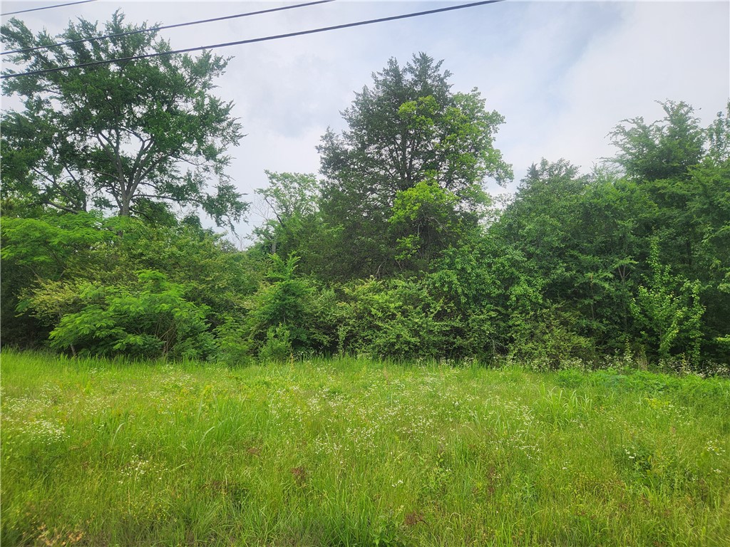 5.75 Acres m/l with excellent development potential! Frontage on US Hwy 64 just off Interstate 40, this is just what you've been looking for . Join the growth that's happening in Clarksville, Arkansas, a business-friendly town that is just the place for your business's next home.