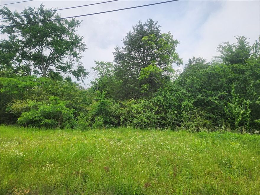 5.75 Acres m/l with excellent development potential! Frontage on US Hwy 64 just off Interstate 40, this is just what you've been looking for . Join the growth that's happening in Clarksville, Arkansas, a business-friendly town that is just the place for your business's next home.