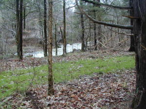 Nice 4.29 surveyed acres m/l tract with a nice building spot already cleared and ready to build on. County road frontage for easy access. Electric on site. 2 seasonal creeks on property. More land available adjacent to this lot Total acreage available - 103 acres.