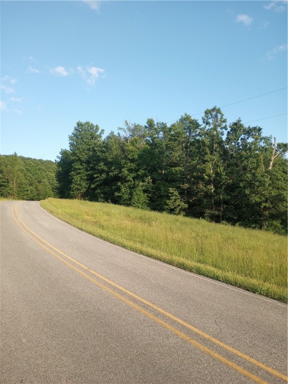4+ Acres joining the National Forest on the south line for over 650 feet for endless exploring or hunting with an abundance of wildlife. Paved road frontage. Would be a great location for your get-away cabin or personal residence. All wooded. Just a few minutes from Alum Cove Trail. Electric lines across property at road, rural water across highway, Phone/Internet would be available through Ritter Communications.