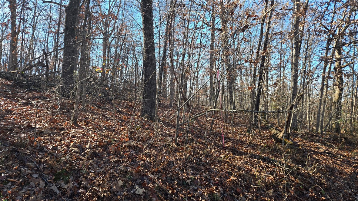 Embleton Sub Bvv - Land