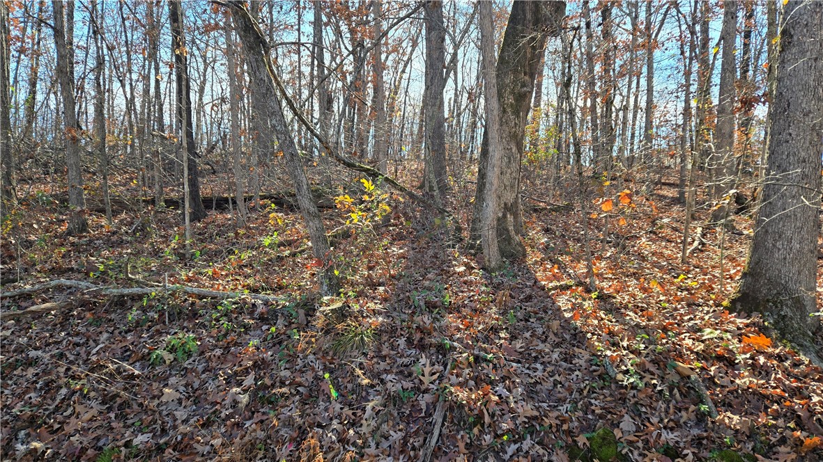 Embleton Sub Bvv - Land