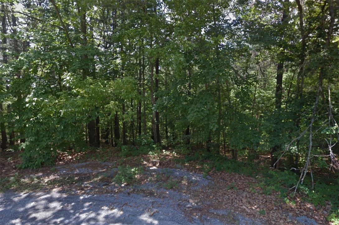 Large lot on Dent Lane
