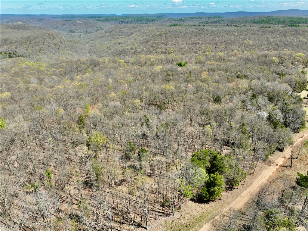 Welcome to a one-of-a-kind mountaintop hunting retreat just outside of Kingston, AR—where rustic charm meets prime wilderness. Nestled in the heart of the Ozark Mountains, this incredible property is a short drive from the scenic Boxley Valley and mere minutes from the crystal-clear waters of the Kings River. This land is more than just a piece of property, it’s a lifestyle for the avid outdoorsman and nature enthusiast. Set in a game-rich environment, this parcel offers exceptional hunting opportunities with abundant populations of white-tailed deer, black bear, wild turkey, and even elk sightings in the area. You'll find numerous ideal locations to hang your next tree stand. The property includes a small, rustic cabin perfect for weekend stays or seasonal retreats. While it provides a charming off-grid feel, modern conveniences are not far behind, with road access, electricity, and high-speed internet available. This makes it not only a comfortable base camp but also a potential site for further development.