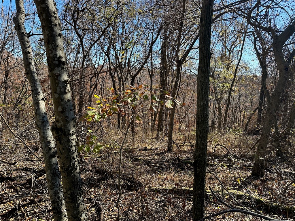 POSY MOUNTAIN RANCH UNIT 7-RURBAN - Land
