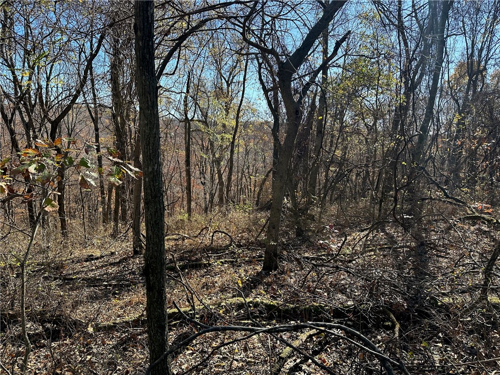 Discover the potential of this beautiful, undeveloped 0.450-acre lot nestled on Aster Drive in the sought-after Lost Bridge Village Community. This parcel offers a rare opportunity to create your dream haven in a coveted location. Situated just 15 miles from the vibrant heart of Downtown Rogers, convenience meets tranquility on this spacious plot. Imagine the possibilities as you design and build your custom retreat, surrounded by the natural beauty that defines Lost Bridge Village. The proximity to Beaver Lake adds another layer of allure to this property. Embrace a lifestyle of lakeside living, with recreational opportunities and scenic views at your fingertips. Whether you're envisioning a weekend getaway or a permanent residence, this lot provides a canvas for realizing your vision. Don't miss the chance to secure your slice of paradise in this flourishing community. Seize the potential of this 0.450-acre canvas and turn your dreams into reality.