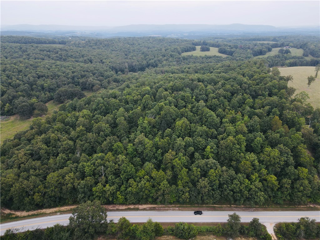This 15-acre property sits right on paved Highway 27 and offers both accessibility and privacy, just minutes from the Buffalo National River, Ozark National Forest, Sylamore WMA, Loaferās Glory WMA, and the White River. With the privacy of the fully wooded acreage, it provides plenty of space for building, recreation, or creating your own private retreat. Utilities including electric, water, and high-speed fiber are already available, making it an excellent choice for a home, cabin, or getaway in the heart of the Ozarks. Wildlife pictures are just feet from the property.