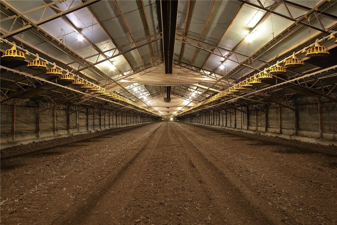 Feeding America - Farm