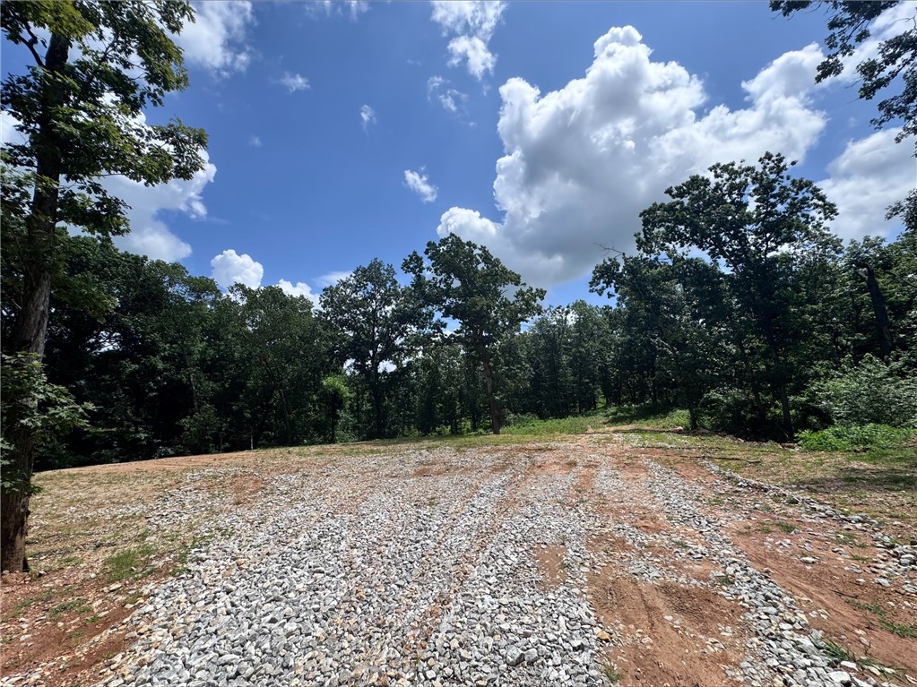 Discover the perfect blend of nature and opportunity with this stunning 3.5-acre property nestled in the peaceful countryside of Gravette, Arkansas. This buildable lot offers a rare combination of features that make it ideal for your dream home, weekend getaway, or investment retreat. Wooded serenity with mature trees which provide natural beauty, shade, and a tranquil forested backdrop, perfect for privacy and wildlife watching. Deer, birds, and other native species frequent the area, offering a front-row seat to Arkansasās natural charm. This secluded & private lot is tucked away from the hustle and bustle and offers the peace and quiet youāve been searching forāwithout sacrificing accessibility.
Whether you're envisioning a cozy cabin, a modern farmhouse, or a custom estate, this land is ready to bring your vision to life.