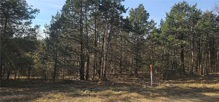 Two adjoining lots totaling approx. 0.56 acre on East Mockingbird Trail in Diamond City! Located near Diamond Hills Golf Course and Bull Shoals Lake, with peaceful wooded views. No HOA. Ideal for building a vacation rental, weekend retreat, or investment property in a growing lake and golf community!