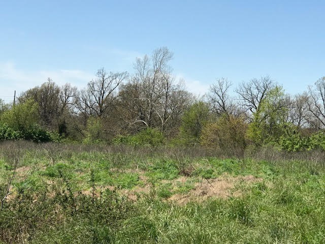 Johnson Outlots - Land