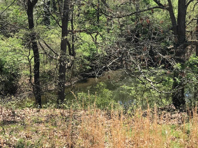 Johnson Outlots - Land