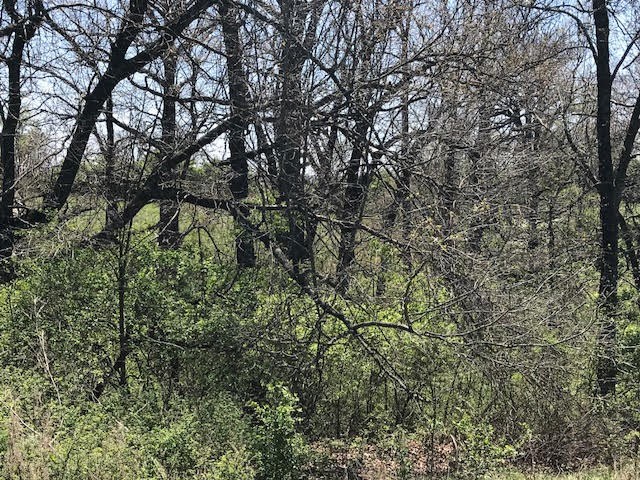 Johnson Outlots - Land