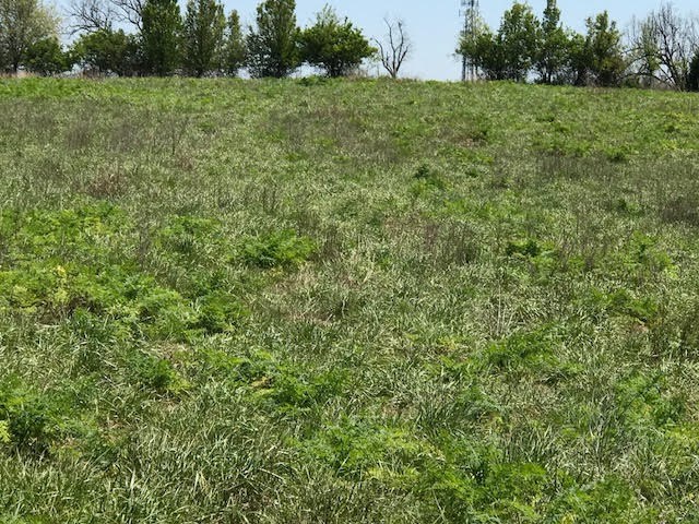 Johnson Outlots - Land