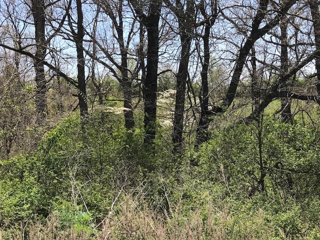 Johnson Outlots - Land