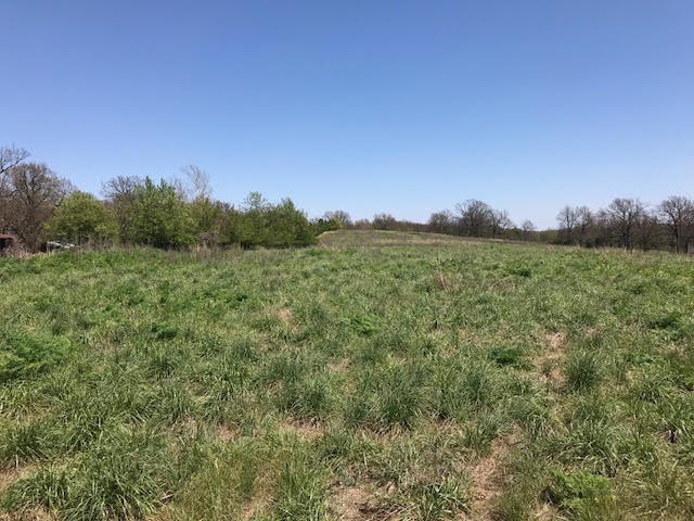 Johnson Outlots - Land