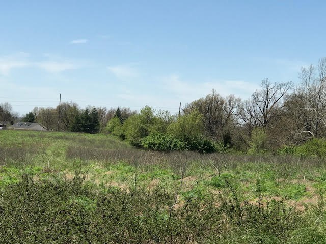 Johnson Outlots - Land