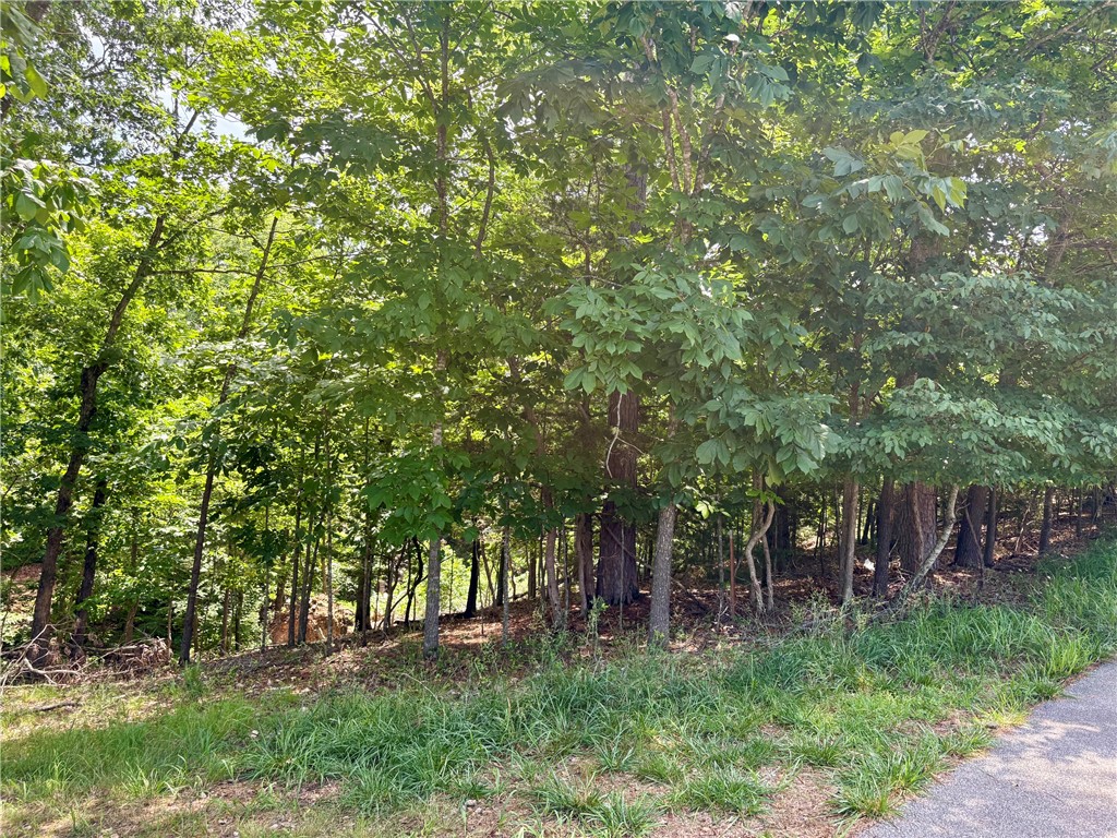 Rivercliff Village Rurban - Land
