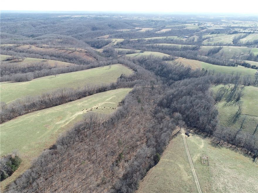 Discover 160 pristine acres of versatile land perfectly situated in the heart of the Ozarks, offering the ultimate blend of agricultural potential and recreation. This property features 70 acres of open rolling pasture ideal for livestock, complemented by 90 acres of mature timber that serve as a private sanctuary for hunting and exploring.  Panoramic views dominate the landscape, while timbered ravines provide a rugged natural beauty and excellent cover for local wildlife. Conveniently accessed directly from Highway 23, the property offers easy entry.  Its prime location places you just a short 15-minute drive from historic Eureka Springs and only 35 minutes from the thriving amenities of Rogers. Whether you dream of building a secluded hilltop estate or owning a weekend retreat, this land is situated close to 15,000 acres of public hunting and the Kings River for kayaking and fishing. This rare opportunity invites you to own a large piece of Ozark countryside where the possibilities are as endless as the horizon.