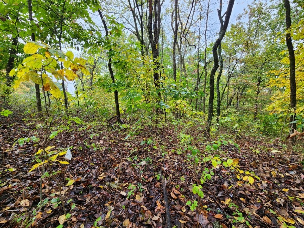 Bankfoot Sub Bvv - Land