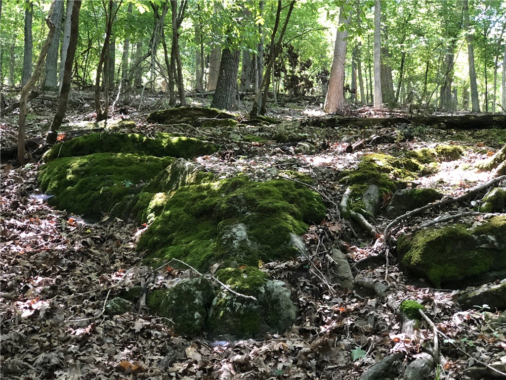 Ten beautiful acres in White River Estates! Old shack on property comes as is, all wooded and a little sloped. Just 17 minutes from downtown Eureka Springs. Head 37 minutes west for anything and everything in Rogers, AR. Perfect out of town location for Ozark living and city access.
