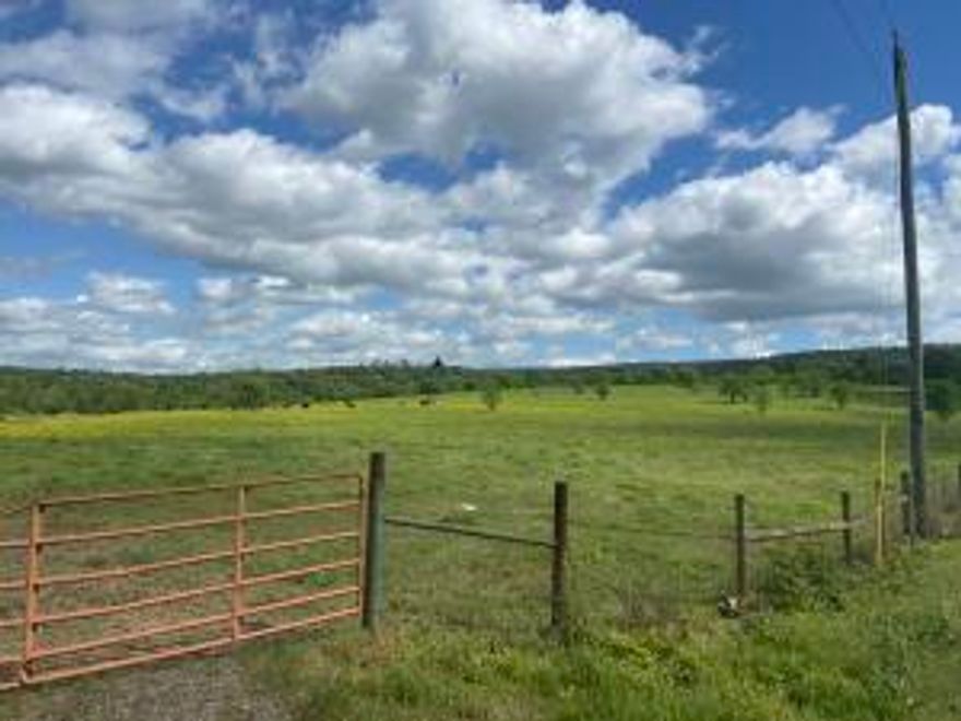 156.55 ACRES OF PASTURE LAND WITH SEVERAL PONDS, A COUPLE OUTBUILDINGS,  AND A CREEK. PROPERTY IS COMPLETELY  FENCED AND CURRENTLY USED FOR CATTLE. (Can be purchased with less acreage. See MLS# 20-354)