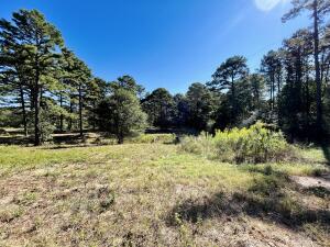 Two beautiful, country acres waiting for you! This property has easy access from the highway with large, mature trees, as well as both electric and water on the property and a brand brand new septic system.