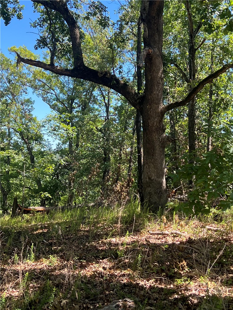 Cave Bottom Overlook - Land
