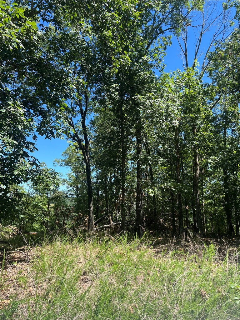 Cave Bottom Overlook - Land