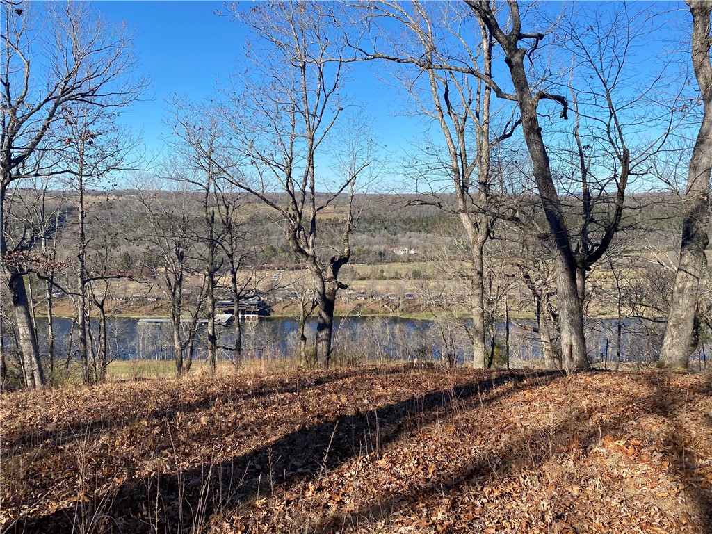 Cave Bottom Overlook - Land