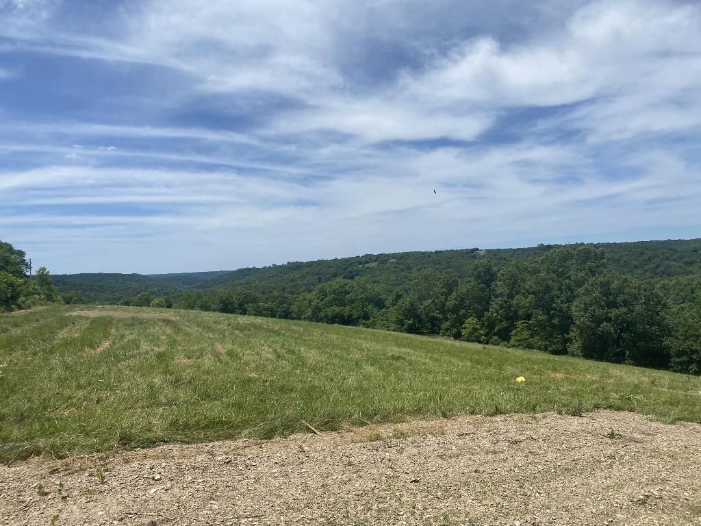 179 acres m/l perfectly situated between Harrison and Branson!! Only 1/4 mile off Hwy 65 with electric available. 2 seasonal creeks, Ozark mountain view's, cave, overhang where arrowheads have been found, and old rock school house. 10 acres of pasture, two ponds, multiple private building sites, numerous ATV trails. No restrictions. Great hunting with lots of deer. Approximately 15 minutes to Branson or Harrison!