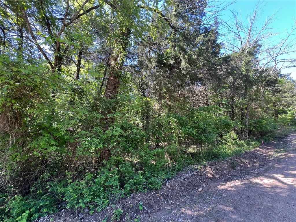 Diamond Point II - Land