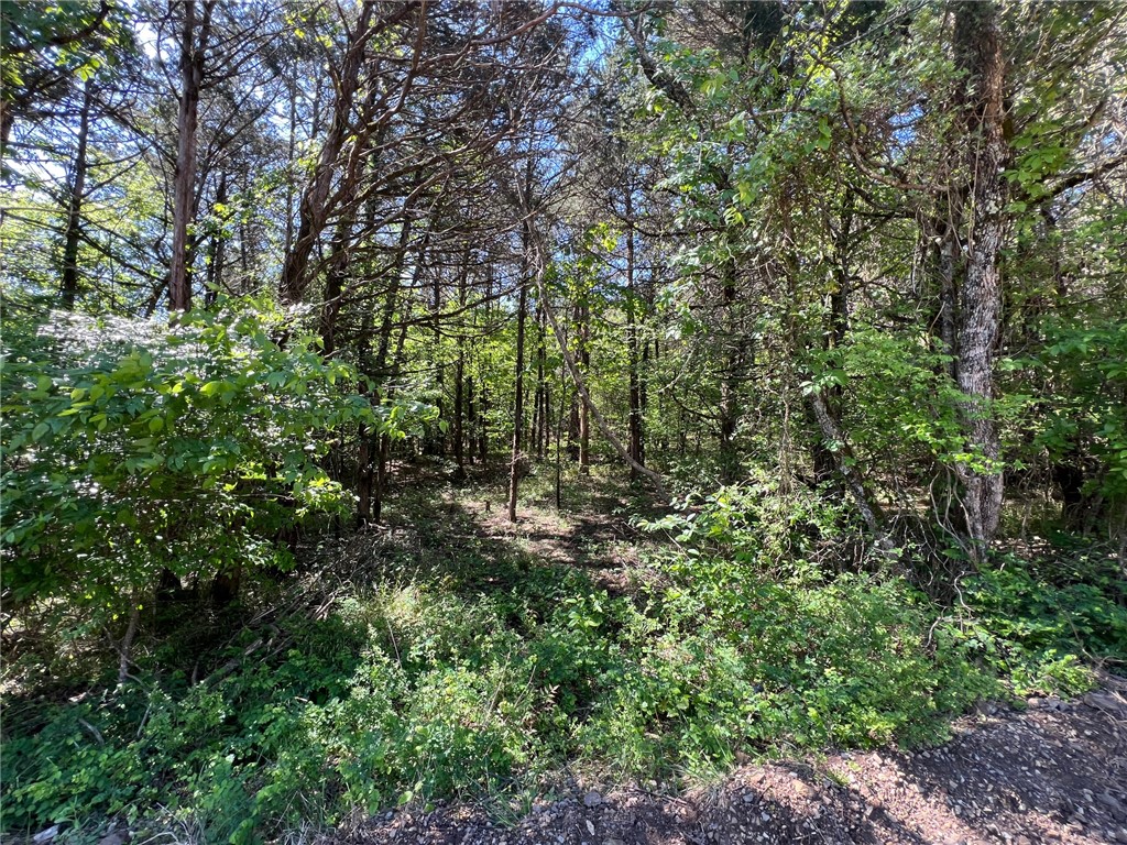 Diamond Point II - Land