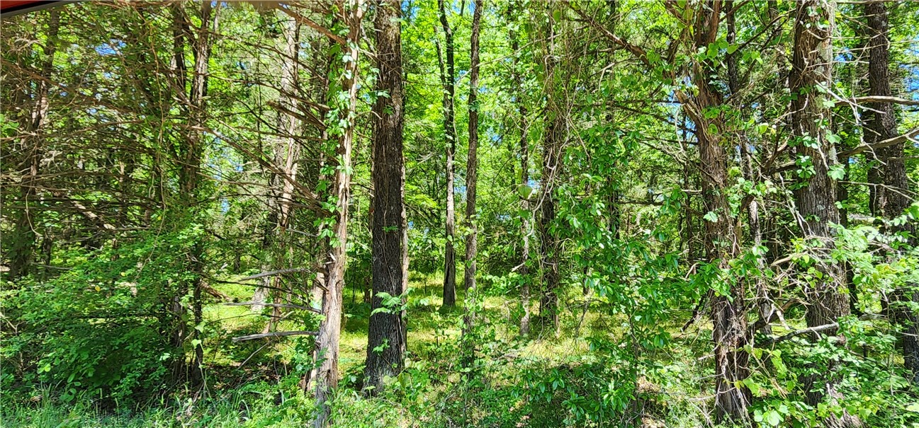 New Hope Acres - Land