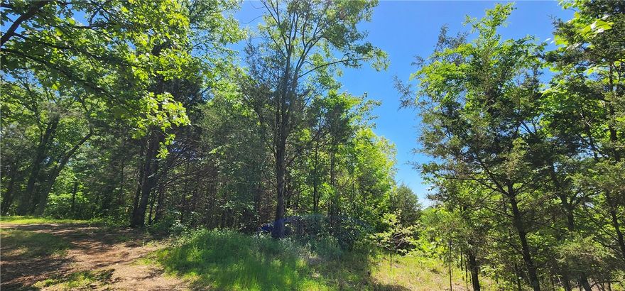 Looking for the perfect location to build in the South side of the City of Russellville? This neighborhood falls in the Pottsville school district. One of the last lots in the established New Hope Acres Subdivision. Utilities at the road and this lot has quick access to Dardanelle, Russellville, Pottsville, The Arkansas River and even I-40 by way of the 247 bypass.