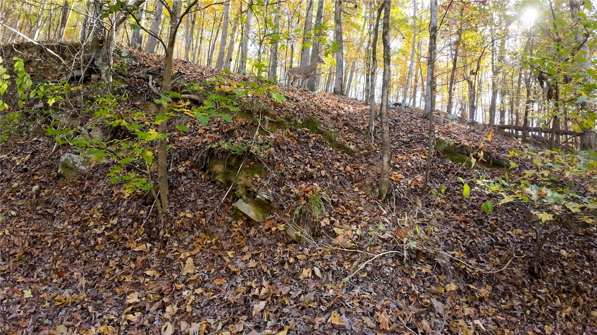 SLN RIVERVIEW MANOR - Land