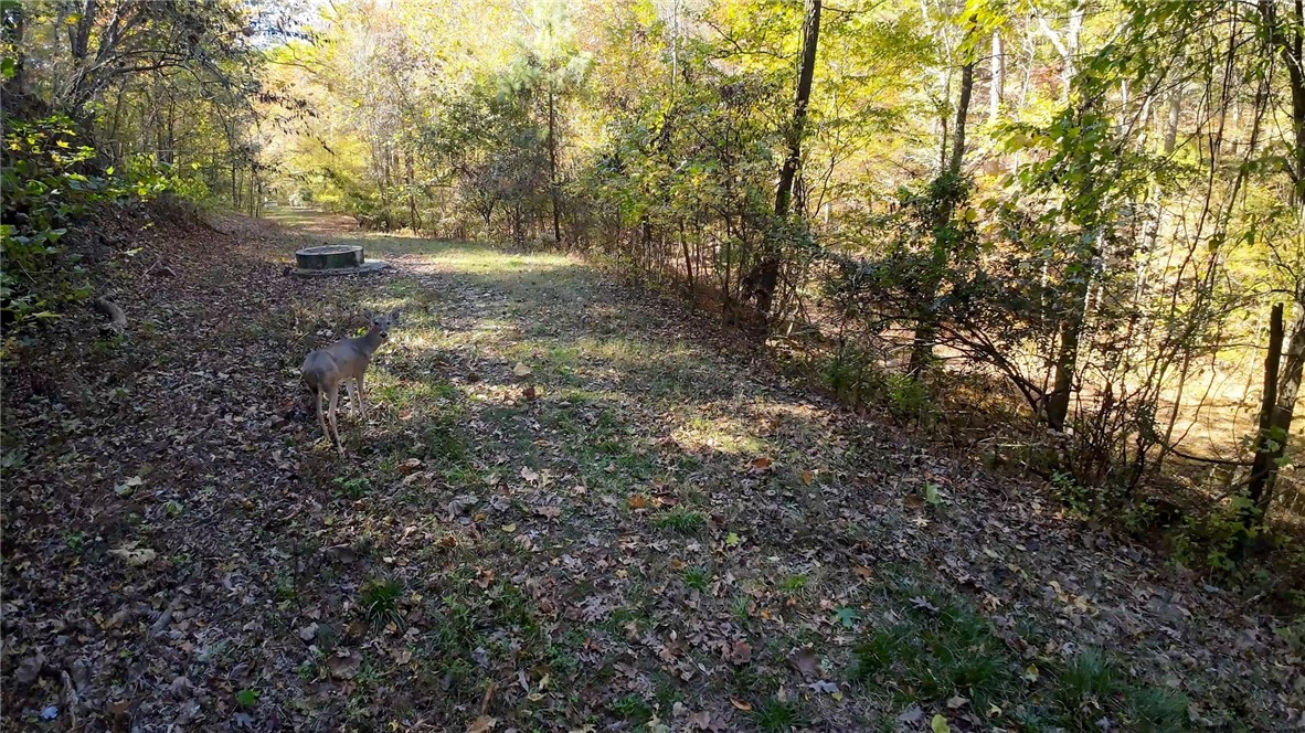 SLN RIVERVIEW MANOR - Land